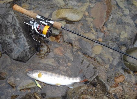 大増水の渓で苦戦